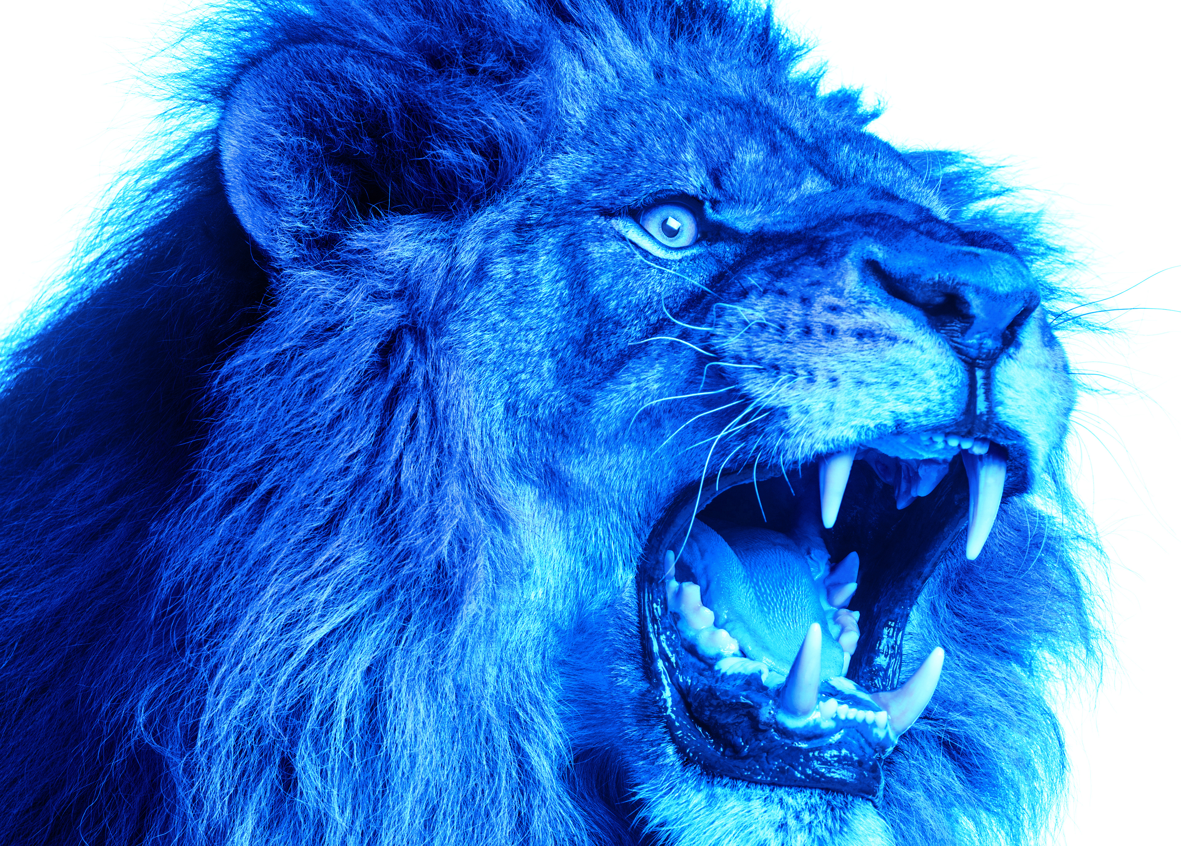 Синий зверь